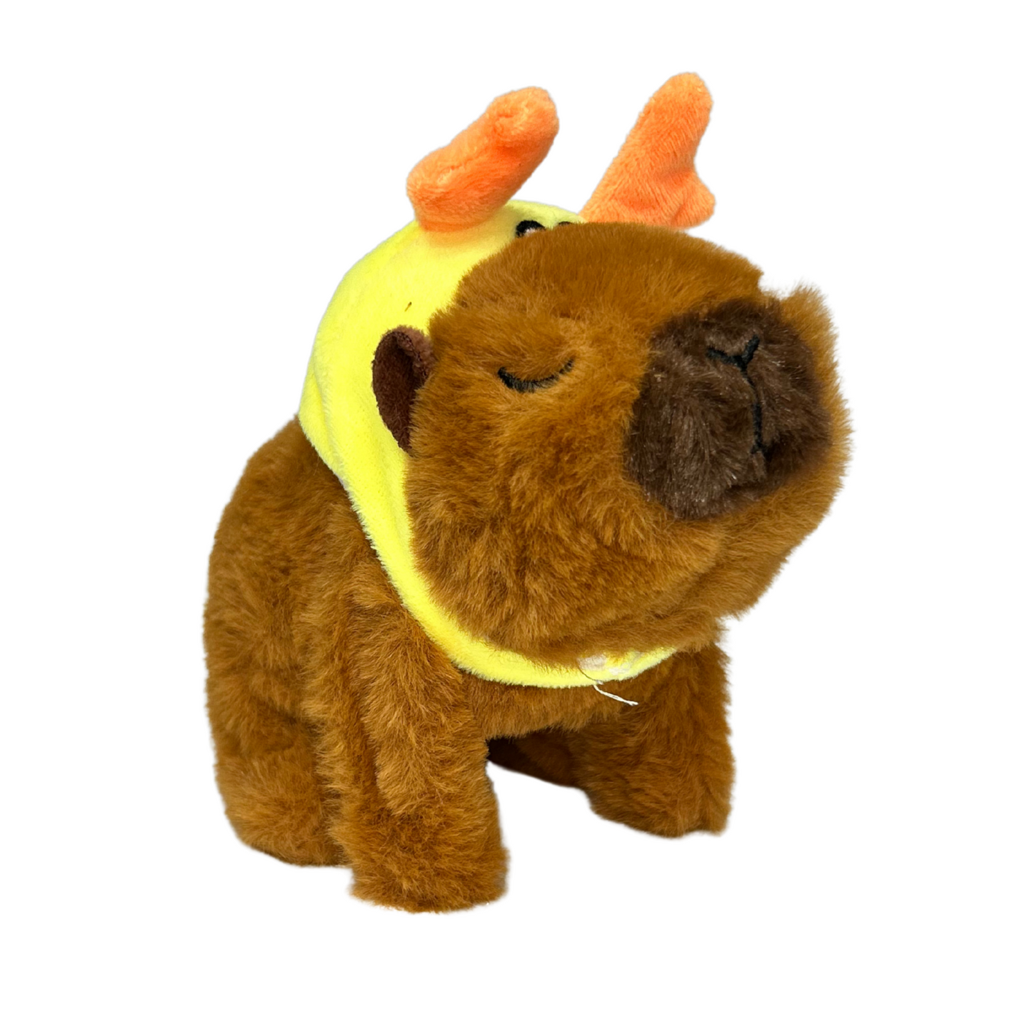 CAPIBARA CAMINA TORTUGA CAFE OSCURO